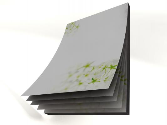 Notepad Bright Springtime 50 Sheets 210x148mm (A5)