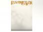 Preview: Motivpapier Edle Ballons Briefpapier mit Motiv