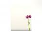 Preview: Motivpapier Flowers on White - Motiv C Briefpapier mit Motiv