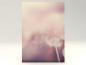 Preview: Stationery Dandelion Impression Writing paper