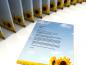 Preview: Motivpapier Sonnenblumen Briefpapier mit Motiv