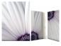 Preview: Stationery Violet Flower Writing paper