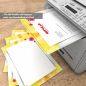 Preview: Tropical flowers letter paper with exotic floral design