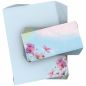 Preview: Motivpapier Cosmea Blumen DIN A4 – Zarte Cosmea-Blüten am unteren Rand wirken freundlich, sommerlich und angenehm leicht