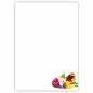 Preview: Motivpapier Freesien DIN A4 – Freesien und frische Blütenfarben setzen einen eleganten, freundlichen Akzent auf viel Weißraum