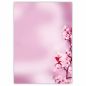 Preview: Cherry Blossoms A4 decorative writing paper