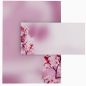 Preview: Cherry Blossoms A4 Writing Paper – Stationery with window/non-window envelopes