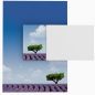 Preview: Motivpapier Lavendel DIN A4 – Briefpapier mit Kuverts