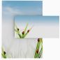 Preview: Motivpapier Marienkäfer im Gras DIN A4 – Briefpapier mit Kuverts mit/ohne Fenster