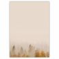 Preview: Misty Forest A4 decorative writing paper