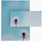 Preview: Motivpapier Pusteblume DIN A4 – Briefpapier mit Kuverts