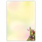 Preview: Motivpapier Tulpen im Sonnenlicht DIN A4 – Bunte Tulpen im rechten unteren Bereich leuchten vor sanften Frühlingsfarben und viel freier Schreibfläche