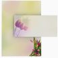 Preview: Motivpapier Tulpen im Sonnenlicht DIN A4 – Briefpapier mit Kuverts mit/ohne Fenster