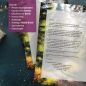 Preview: Motivpapier Sonniger Waldweg DIN A4 – Briefpapier mit Kuverts