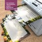 Preview: Motivpapier Sonniger Waldweg DIN A4 – Briefpapier mit Kuverts