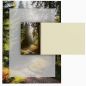 Preview: Motivpapier Sonniger Waldweg DIN A4 – Briefpapier mit Kuverts