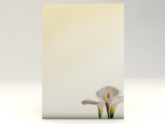 Stationery Calla Lillies Writing paper