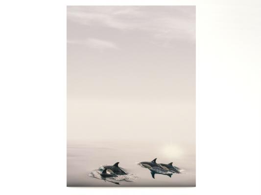 Stationery Dolphins Writing paper