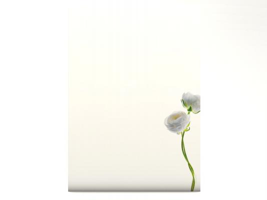 Stationery Flowers on White - Motiv B Writing paper