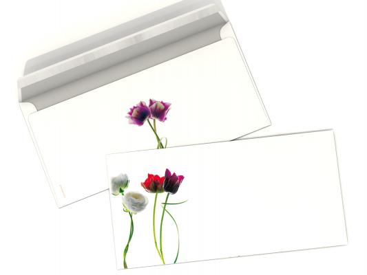 printed envelope eeee