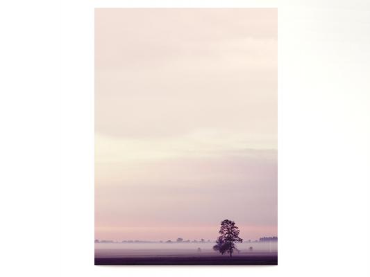 Motivpapier Morgendliche Stille Briefpapier mit Motiv