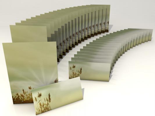 Stationery Autumn Grases Writing paper