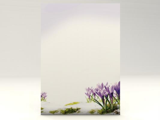 Stationery Crocusses Writing paper