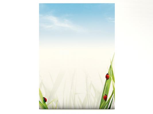 Stationery Ladybirds on Grass Writing paper