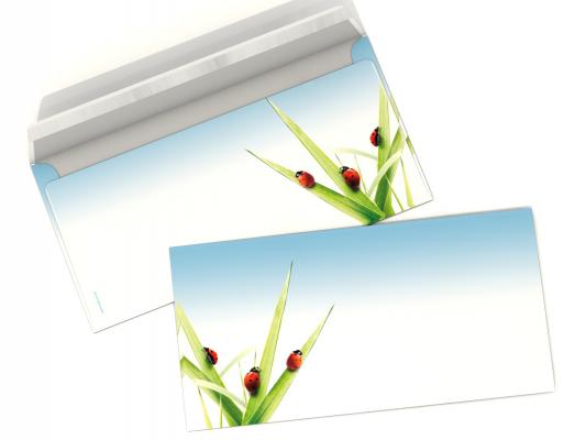 Double-Sided Stationery Ladybirds Writing paper