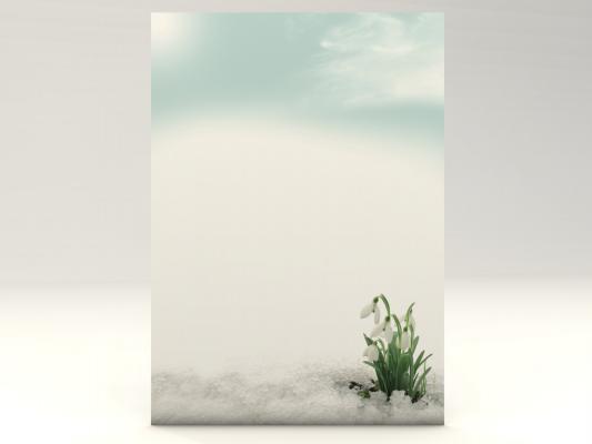 Stationery Snowdrop Flowers Writing paper
