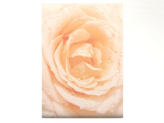 Stationery Rose with Water Drops Writing paper