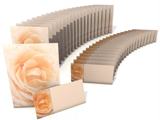 Stationery Rose with Water Drops Writing paper