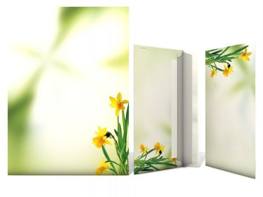 Stationery Daffofdils