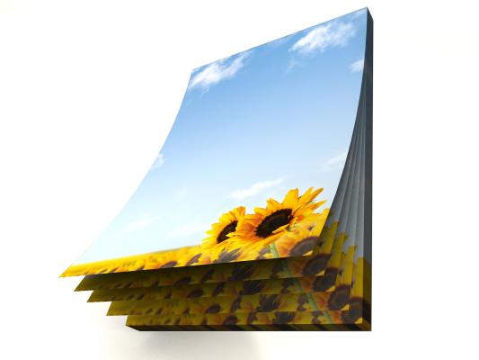 Notizblock Sonnenblumen