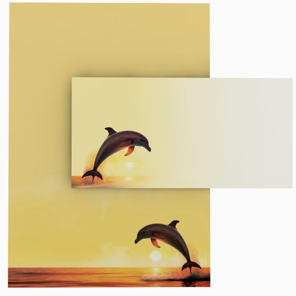 Motivpapier Delfine DIN A4 – Briefpapier mit Kuverts