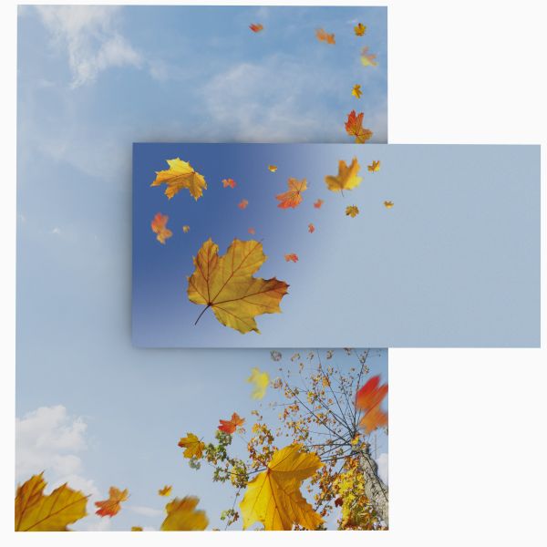 Falling Leaves A4 Writing Paper – Stationery with envelopes