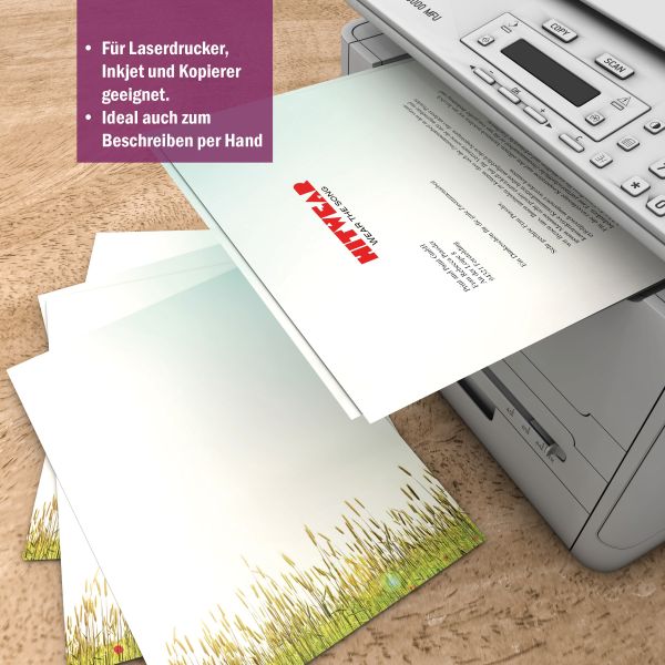Motivpapier Herbstgräser DIN A4 – Briefpapier mit Kuverts mit/ohne Fenster