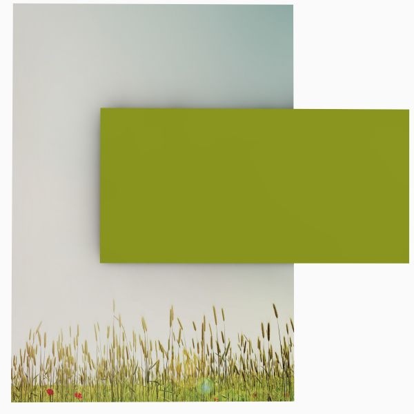 Motivpapier Herbstgräser DIN A4 – Briefpapier mit Kuverts mit/ohne Fenster