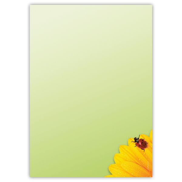 Motivpapier Glückskäfer DIN A4 – Eine gelbe Blüte mit kleinem Marienkäfer wirkt freundlich, sympathisch und unkompliziert
