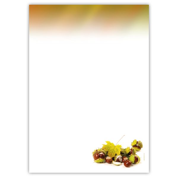 Motivpapier Kastanien DIN A4 – Kastanien und herbstliche Naturdetails setzen einen warmen, bodenständigen Saisonakzent