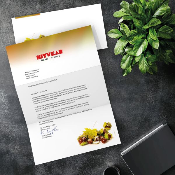 Passender DIN-LANG-Briefumschlag zum Motiv Kastanien