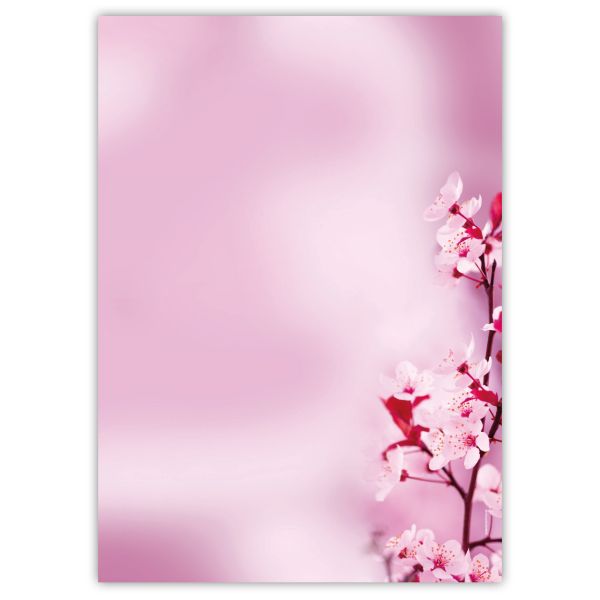 Cherry Blossoms A4 decorative writing paper