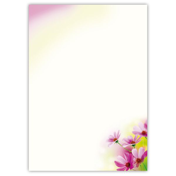 Motivpapier Sommerblumen DIN A4 – Leichte Sommerblüten am unteren Rand lassen viel freie Fläche und wirken freundlich und unbeschwert