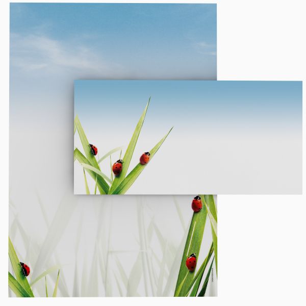 Motivpapier Marienkäfer im Gras DIN A4 – Briefpapier mit Kuverts mit/ohne Fenster