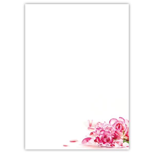 Motivpapier Zauberhafte Rosenblüten DIN A4 – Rosa Rosenblüten am unteren Rand wirken romantisch, festlich und elegant