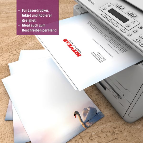 Motivpapier Schwan DIN A4 – Briefpapier mit Kuverts