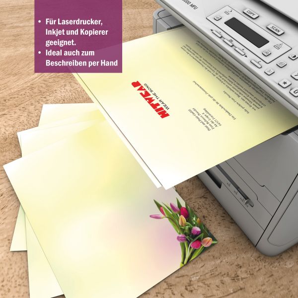 Motivpapier Tulpen im Sonnenlicht DIN A4 – Briefpapier mit Kuverts mit/ohne Fenster