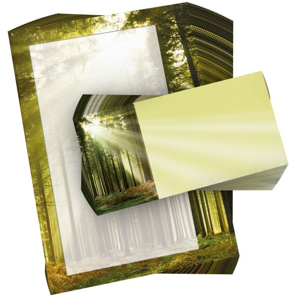Motivpapier Sonniger Waldweg DIN A4 – Sonnenlicht im grünen Wald und die helle Schreibfläche vermitteln Ruhe, Natur und Wertigkeit