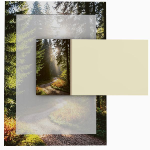 Motivpapier Sonniger Waldweg DIN A4 – Briefpapier mit Kuverts