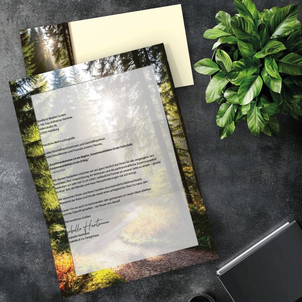 Passender DIN-LANG-Briefumschlag zum Motiv Sonniger Waldweg